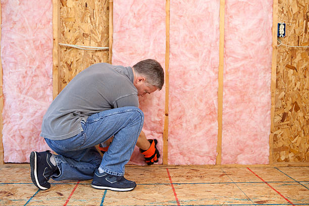 Best Eco-Friendly Insulation in East Valley, NV