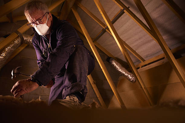 Best Geographic-Specific Insulation Services in East Valley, NV